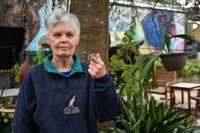 Cat fight: wildlife rescuer urges Government action on cat confinement post image