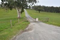 Young man killed in workplace accident on Hills property post image