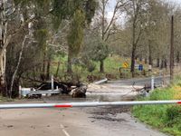 Wild weather strikes twice post image