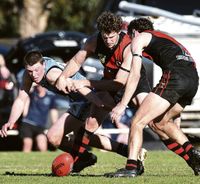 Bloods cut through Raiders post image