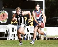 Dogs race into decider post image