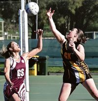 Tigers earn title shot post image