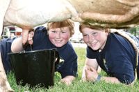 Meadows fair has a grassroots focus post image