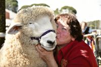 Spring show circuit starts at Strathalbyn post image