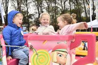 Rain doesn't dampen show spirit post image