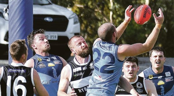 Brookers have early flow post image