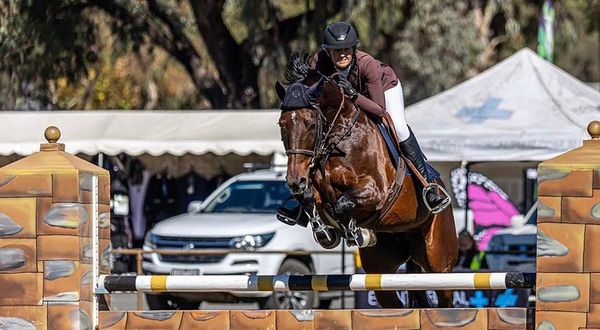 Jumping with class post image