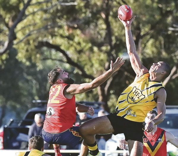 Mixed bag for Hills post image