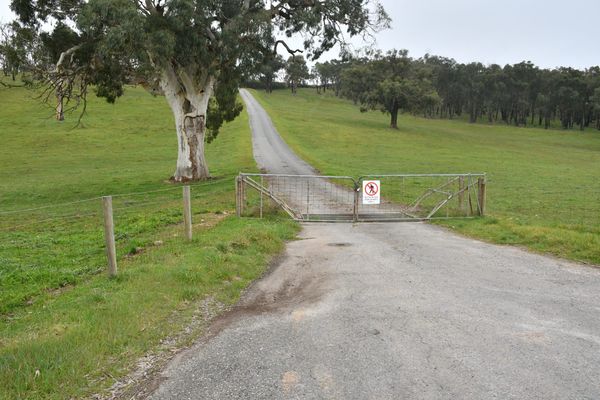 Young man killed in workplace accident on Hills property post image