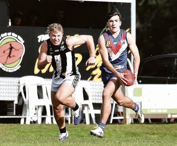 Dogs race into decider post image