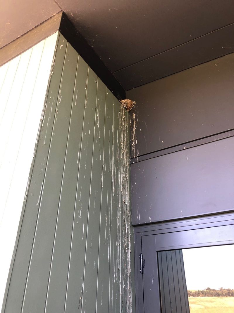 Soccer fees 'make life difficult' post image