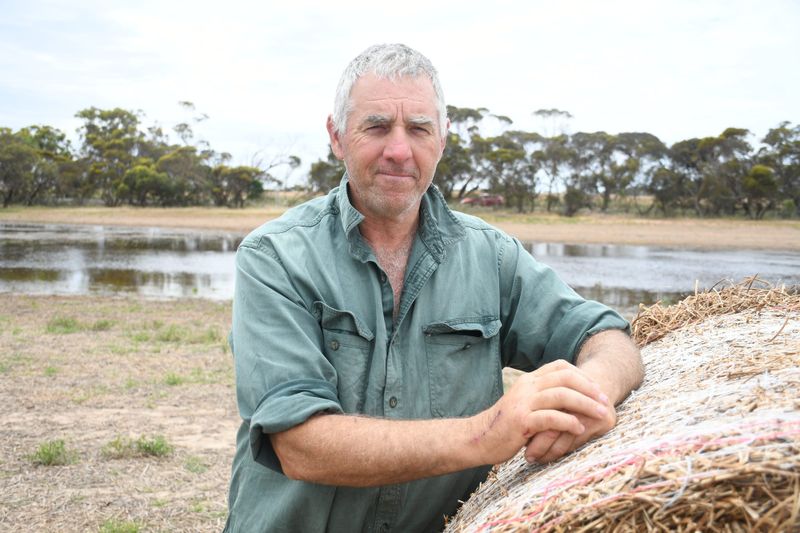 Wet weather leaves farmer high and dry post image