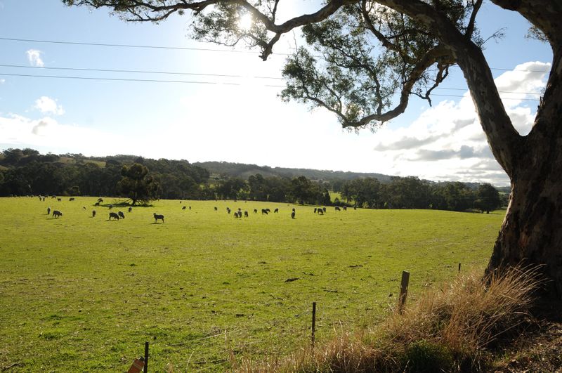 Council confirms major development in controversial solar farm saga post image
