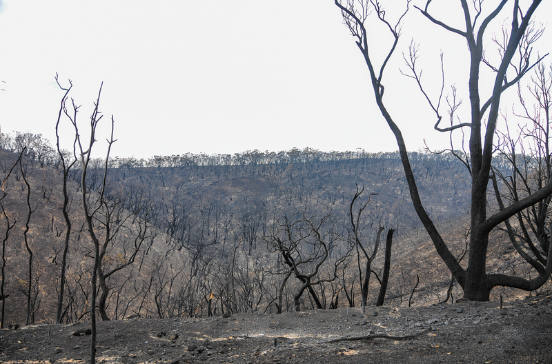 Heightened fire risk declared post image