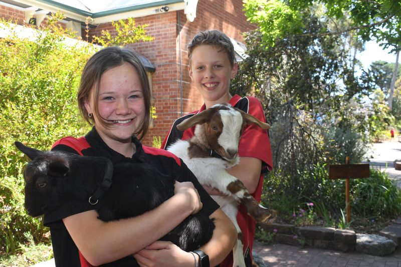 New kids on the block post image