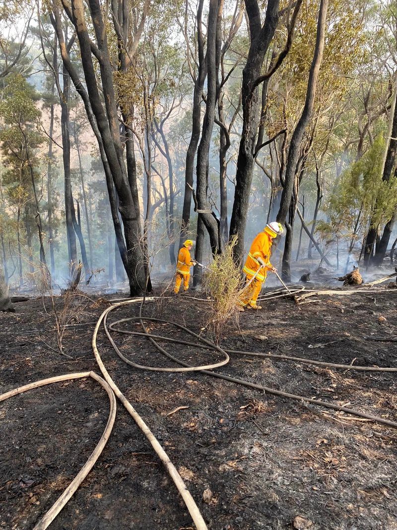 CFS renews burn-off calls after multiple fires post image