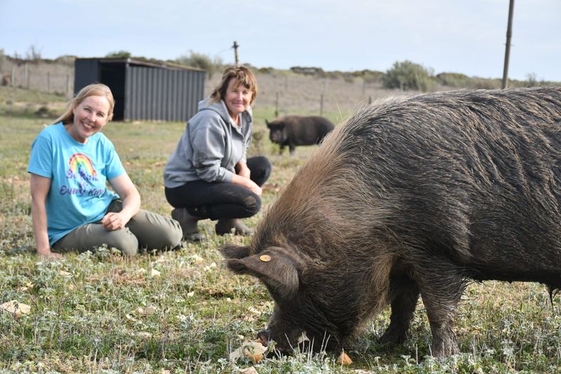 Mascots get honorable discharge post image