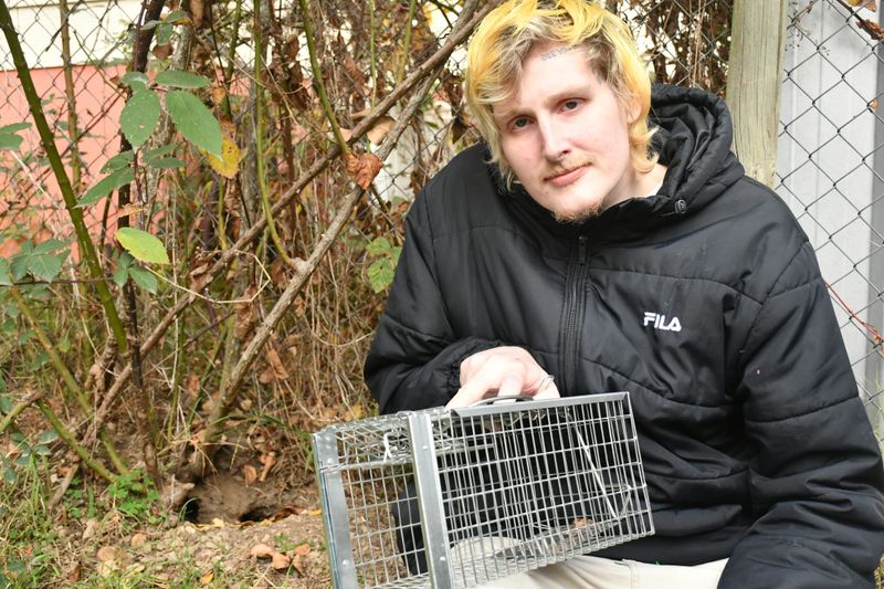 Residents warns of growing rat problem post image