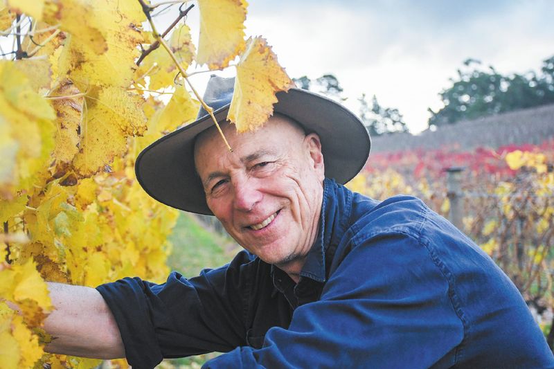 Local wineries taste success at national wine show post image