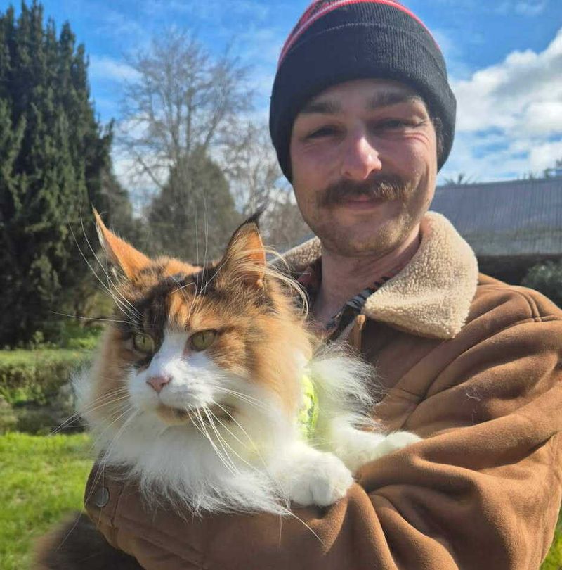 Council to investigate regional pound post image