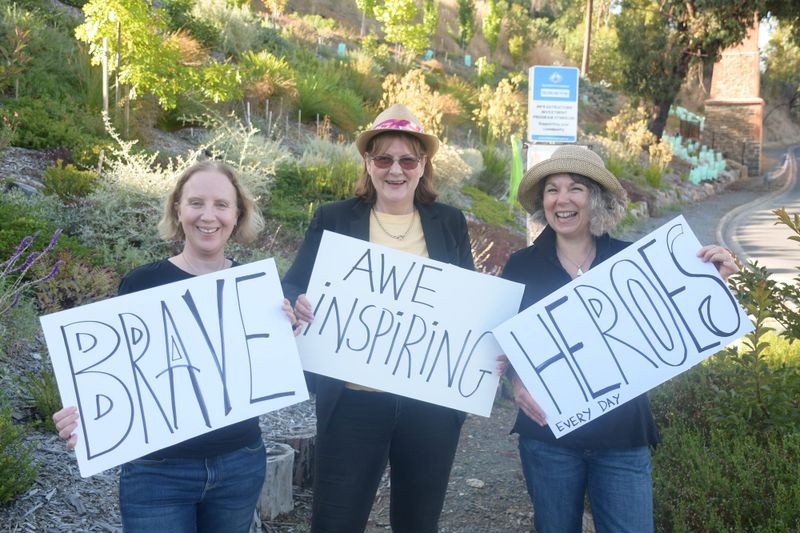 Sculpture to soar over Pocket Forest post image
