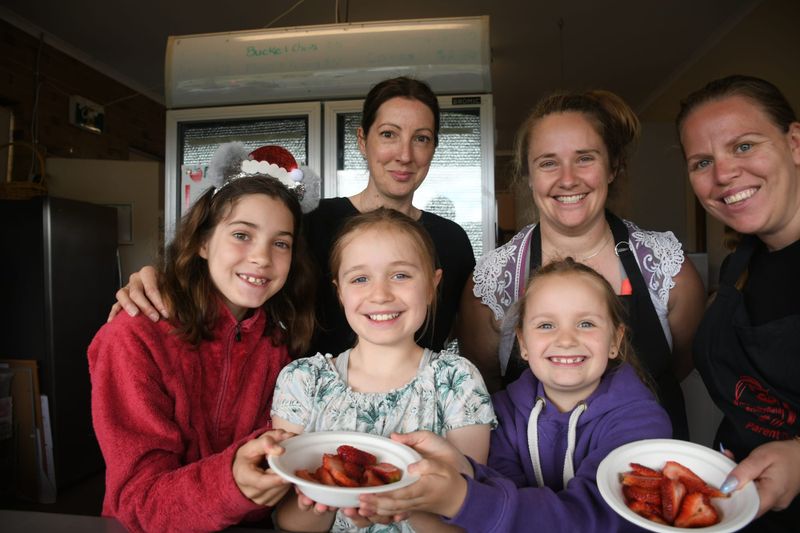 Strawberry fete 'biggest yet', say organisers post image