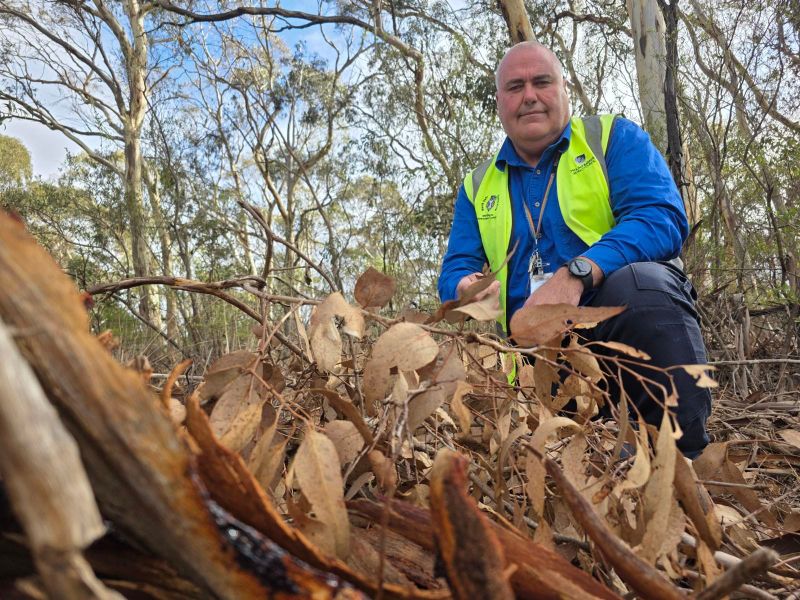 Lower the risk post image