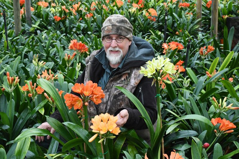 Spring has bloomed post image