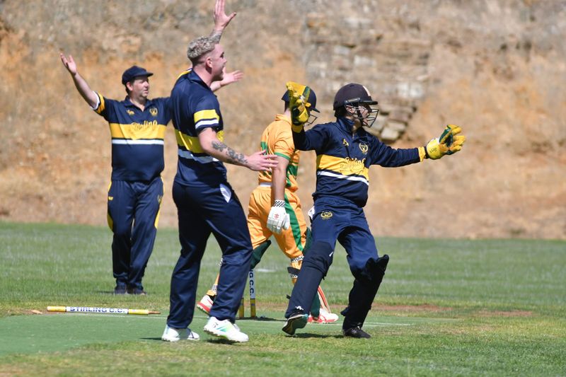 Stirling and Lobethal cricket premiers post image
