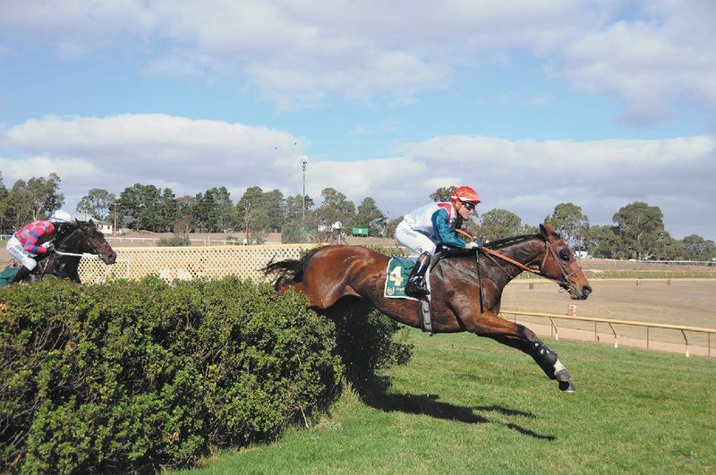 Jumps racing falls at final hurdle as State Government backs permanent ban post image