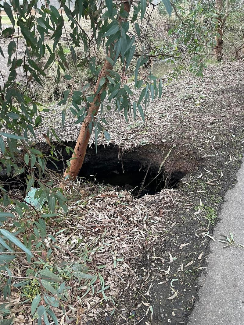 Soil collapse closes walking trail post image