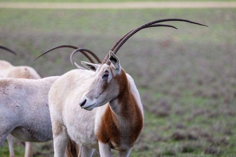 Back from the brink post image