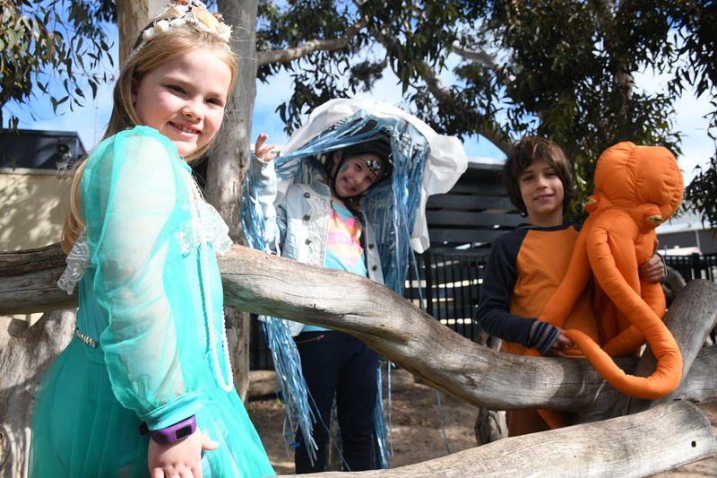 Book Week brings colorful characters to life post image