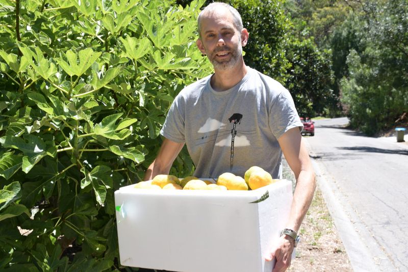 Fruit share program to help those in need post image