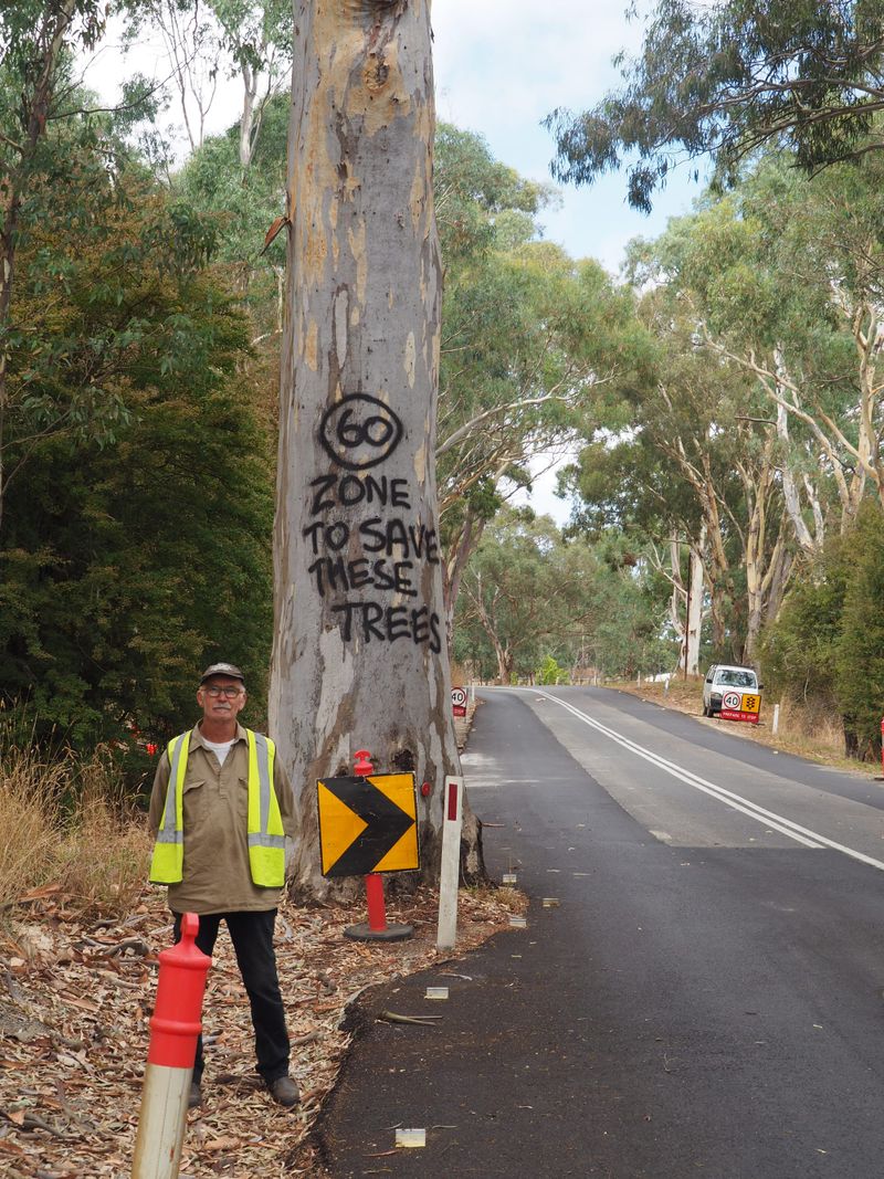 Residents campaign against tree removal post image