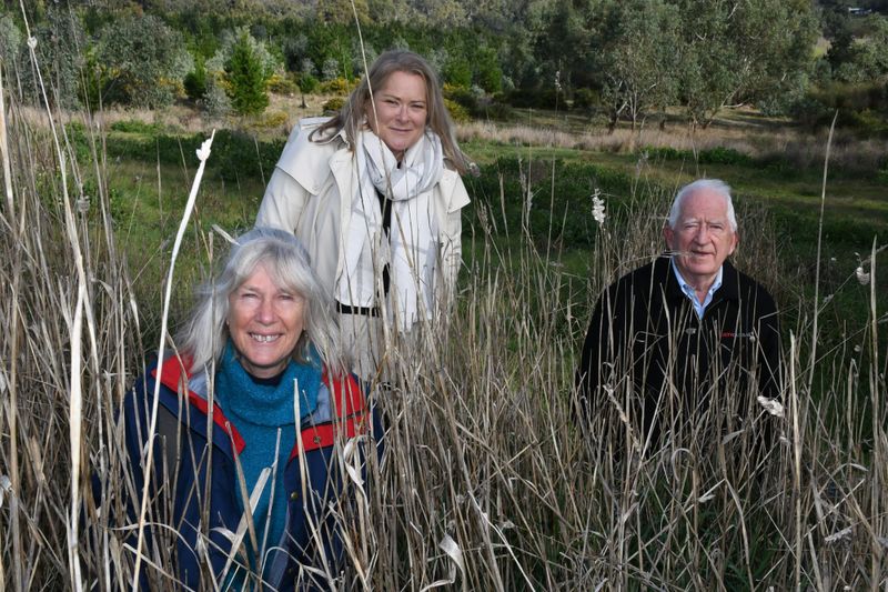 Hills residents to push up native daisies as new burial ground approved post image