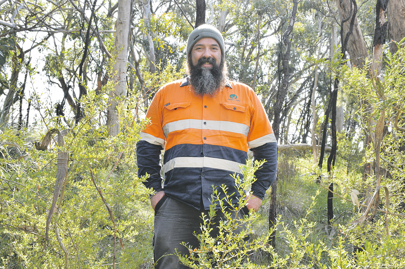 Invitation to try bushcare post image