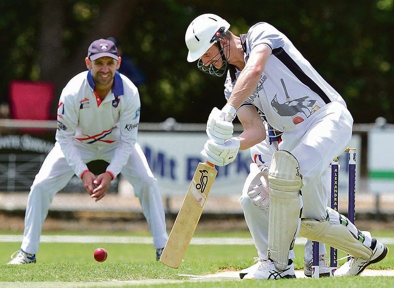 Magpies grounded post image