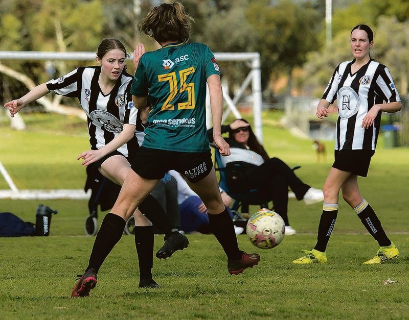 Chance goes begging post image