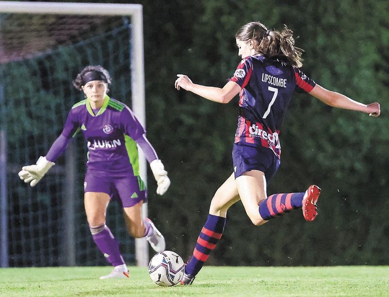 Lady Hawks on a roll post image