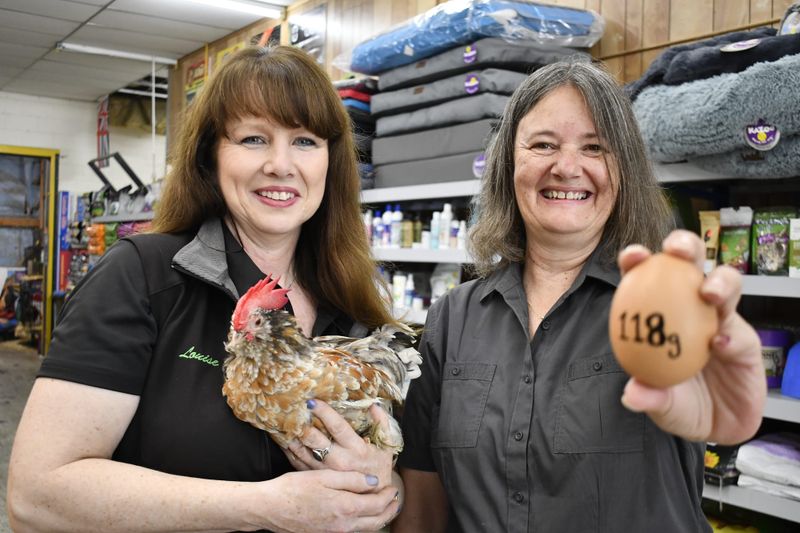 Lenswood woman makes egg-cellent find post image