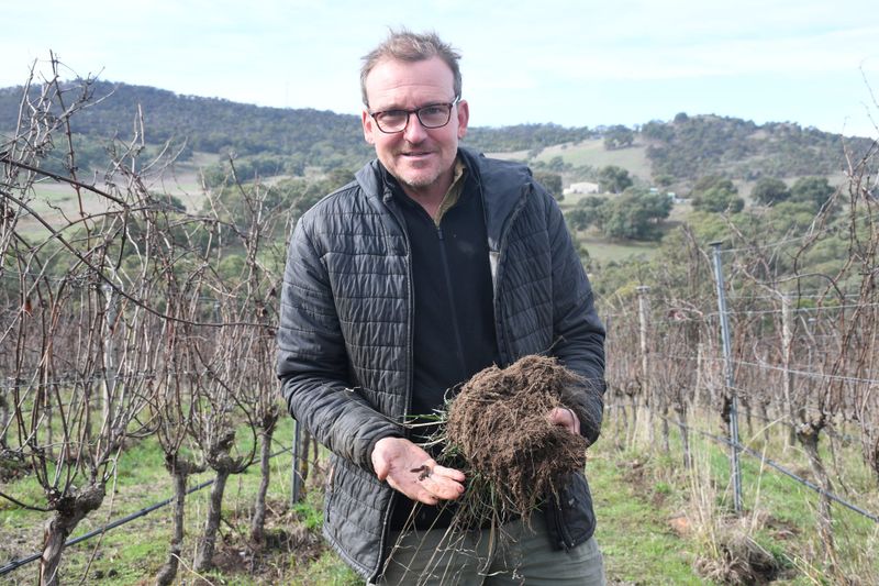 Winery recognised for biodynamic practices post image