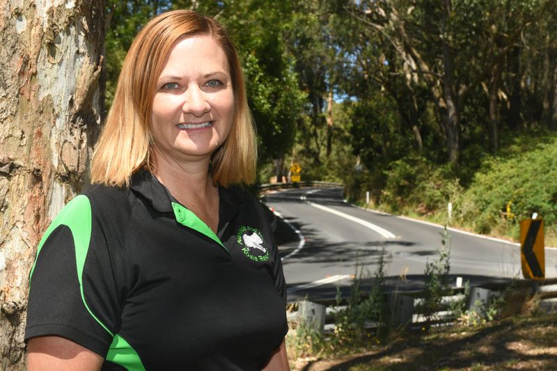 New trial could pave the way to reduce freeway wildlife deaths post image