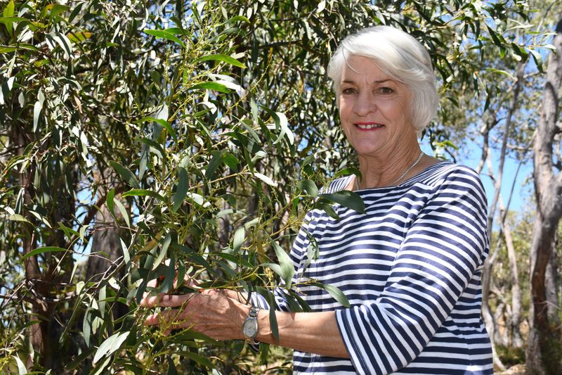 A life in conservation post image