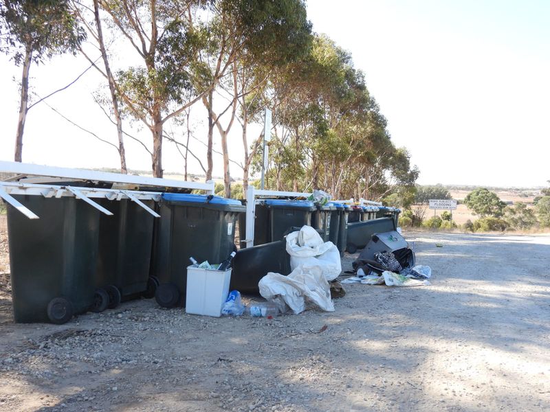 Residents call for Callington bin bank clean up post image