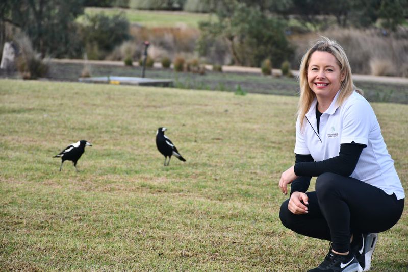 How to deal with swooping season post image