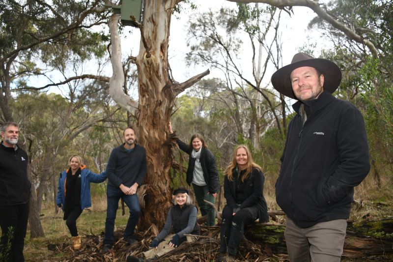 Boxes provide new homes as Mt Barker grows post image