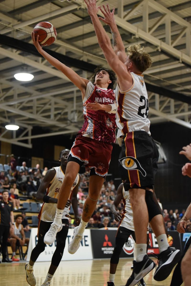 Mavericks host the Tigers post image