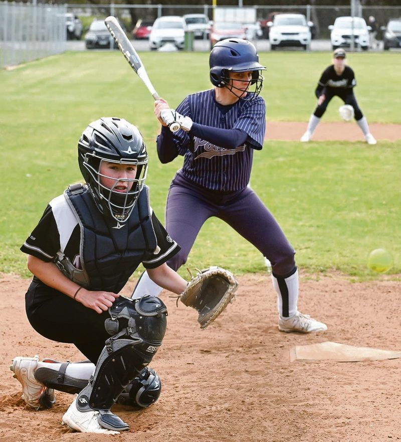 Panthers claw a win post image