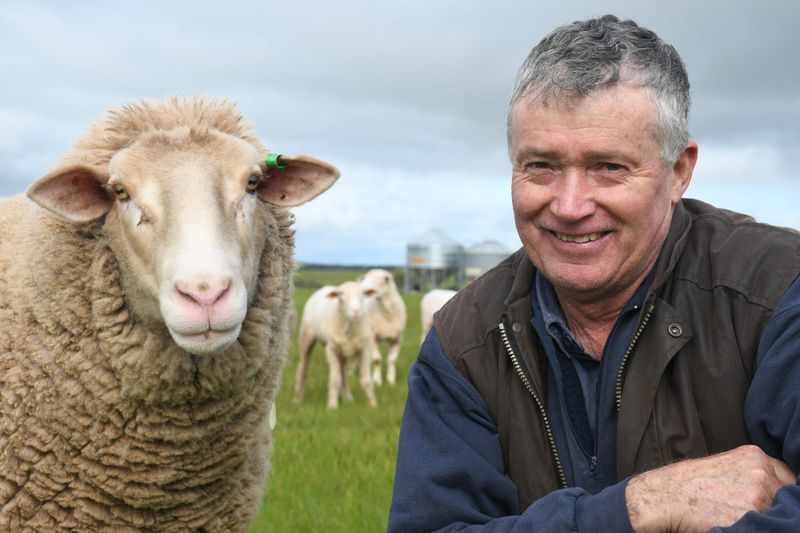 Record prices a boost for Hills farmers post image